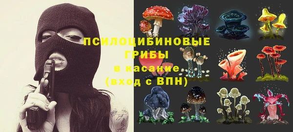 дмт Абинск