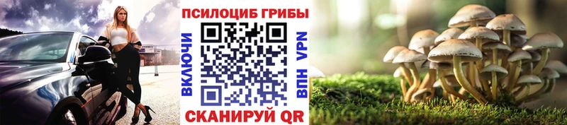 купить наркотики цена  Кизилюрт  kraken ссылки  Псилоцибиновые грибы мухоморы 