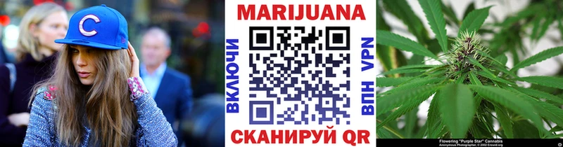 МАРИХУАНА сатива Кизилюрт
